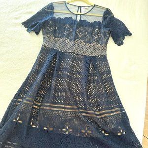 Navy Blue Lace sleeve midi Dress